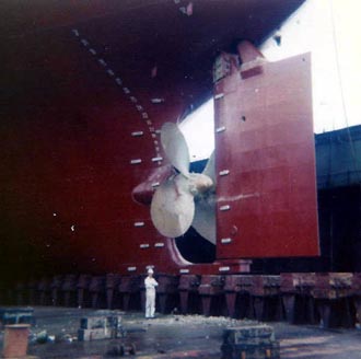 View of rudder and propeller