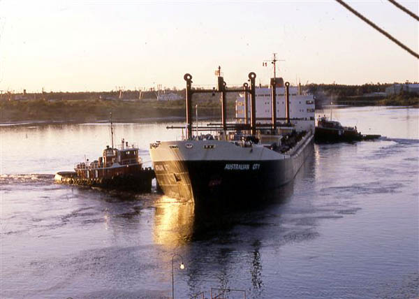 Vessel passing ubder Sydney harbour bridge