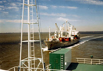 Closer photo of Bibi