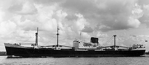 View of cardiff city