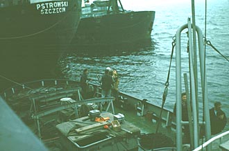 Diver preparing to dive