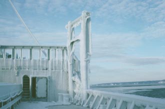Diver preparing to dive
