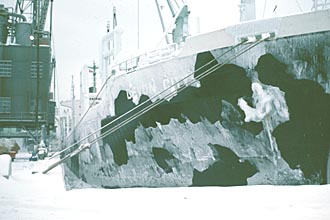 Transferring cargo to other ship