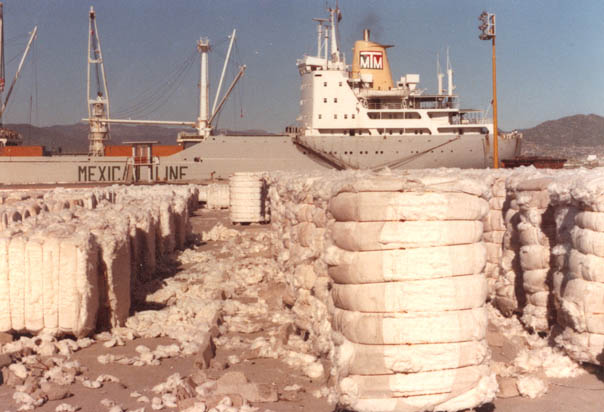 Discharging cargo at Cutuco, Salvador