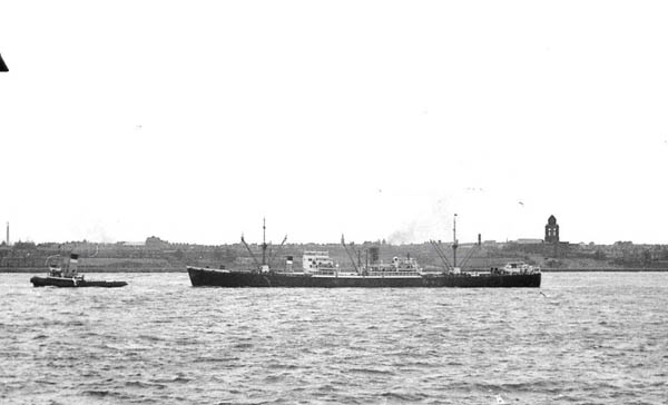 Photo of Houston City