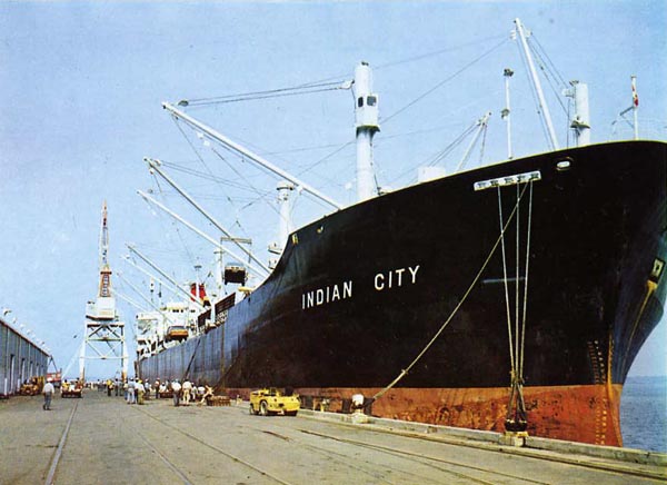 Australian City in Sydney Harbour