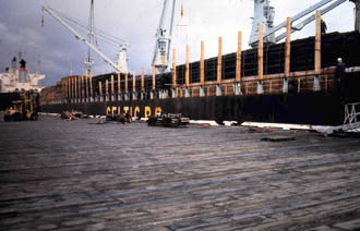 Loading deck cargo of deck pilings